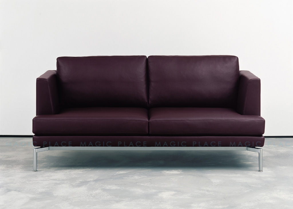 Frank弗兰克 (1).jpg