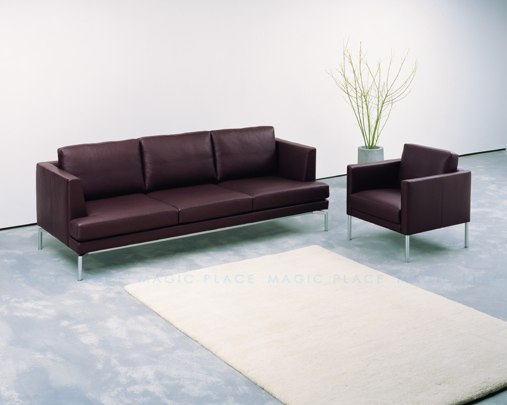 Frank弗兰克 (2).jpg